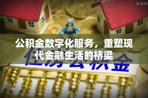 滨湖公积金数字化服务，重塑现代金融生活的桥梁