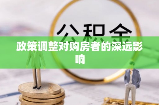 滨湖政策调整对购房者的深远影响