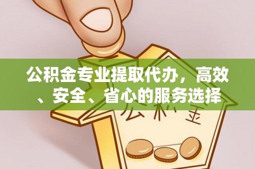 滨湖公积金专业提取代办，高效、安全、省心的服务选择
