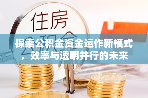 滨湖探索公积金资金运作新模式，效率与透明并行的未来