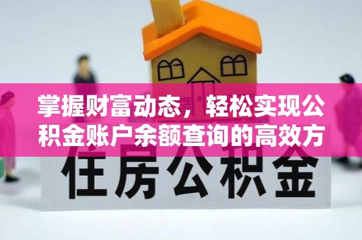 滨湖掌握财富动态，轻松实现公积金账户余额查询的高效方法