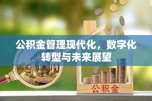 滨湖公积金管理现代化，数字化转型与未来展望