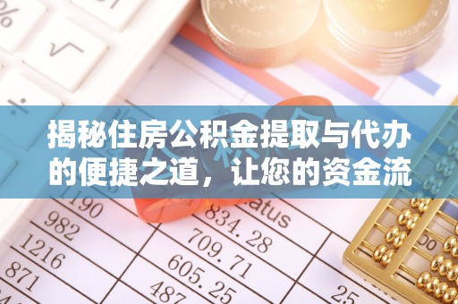 滨湖揭秘住房公积金提取与代办的便捷之道，让您的资金流动更高效