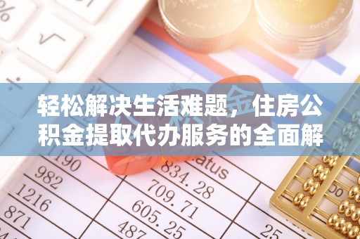 滨湖轻松解决生活难题，住房公积金提取代办服务的全面解析