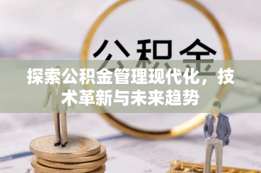 滨湖探索公积金管理现代化，技术革新与未来趋势