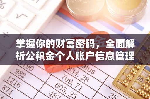 滨湖掌握你的财富密码，全面解析公积金个人账户信息管理与优化
