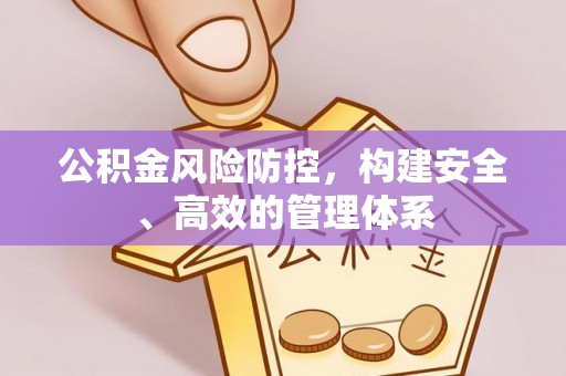 滨湖公积金风险防控，构建安全、高效的管理体系