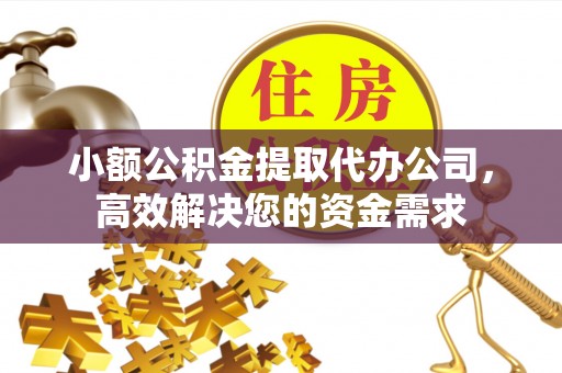 滨湖小额公积金提取代办公司，高效解决您的资金需求