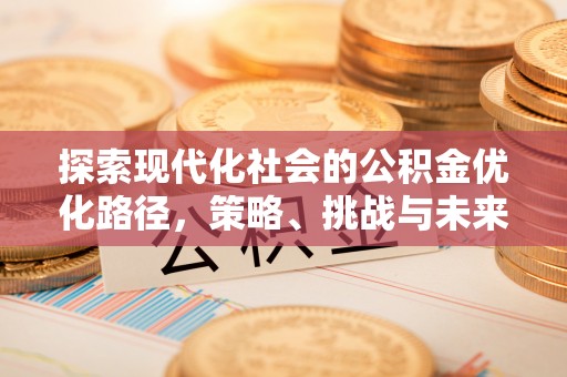 滨湖探索现代化社会的公积金优化路径，策略、挑战与未来展望