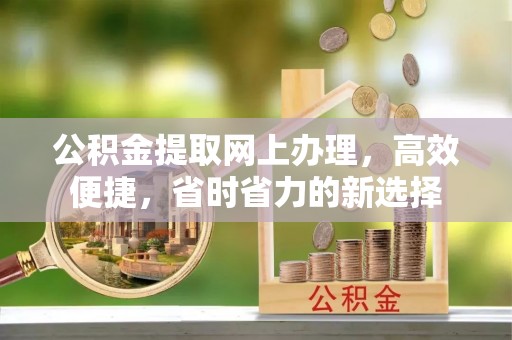 滨湖公积金提取网上办理，高效便捷，省时省力的新选择