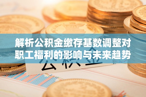 滨湖解析公积金缴存基数调整对职工福利的影响与未来趋势