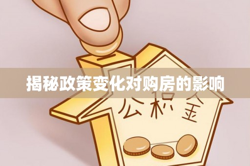 滨湖揭秘政策变化对购房的影响