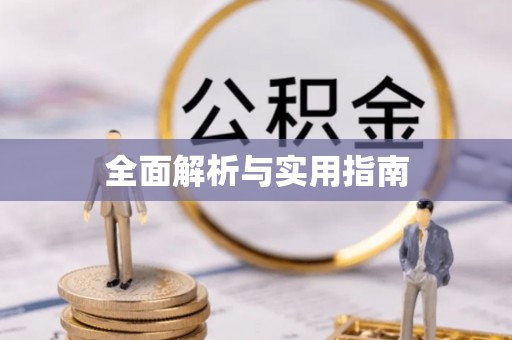 滨湖全面解析与实用指南