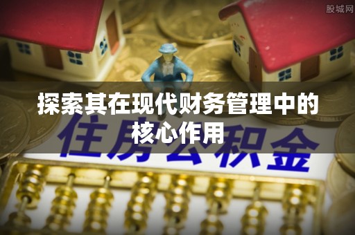 滨湖探索其在现代财务管理中的核心作用