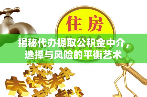 滨湖揭秘代办提取公积金中介，选择与风险的平衡艺术