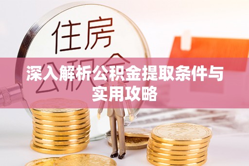 滨湖深入解析公积金提取条件与实用攻略
