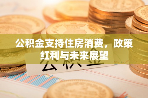 滨湖公积金支持住房消费，政策红利与未来展望