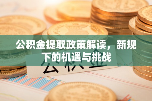 滨湖公积金提取政策解读，新规下的机遇与挑战