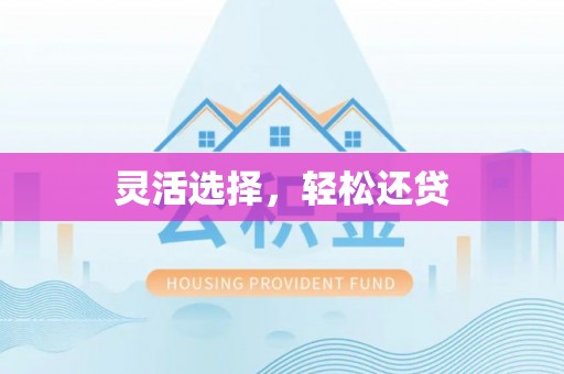 滨湖灵活选择，轻松还贷
