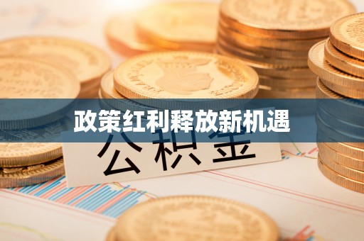 滨湖政策红利释放新机遇