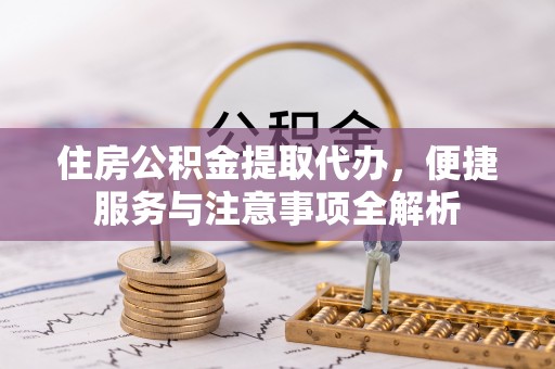 滨湖住房公积金提取代办，便捷服务与注意事项全解析