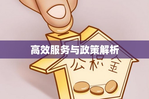 滨湖高效服务与政策解析