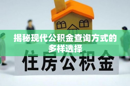 滨湖揭秘现代公积金查询方式的多样选择