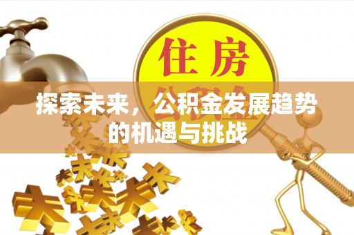 滨湖探索未来，公积金发展趋势的机遇与挑战