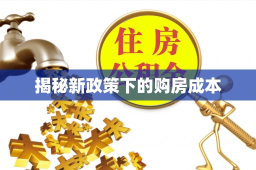 滨湖揭秘新政策下的购房成本