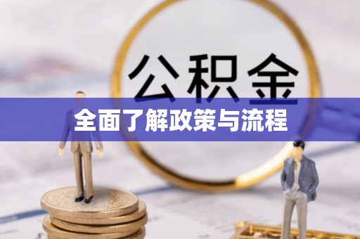 滨湖全面了解政策与流程