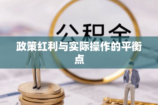 滨湖政策红利与实际操作的平衡点