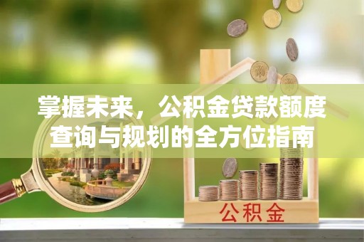 滨湖掌握未来，公积金贷款额度查询与规划的全方位指南
