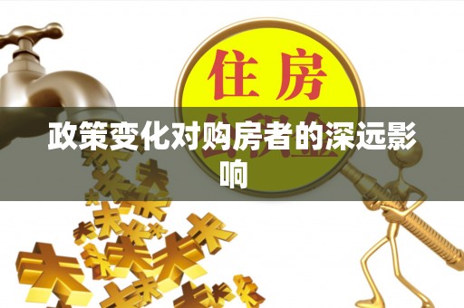 滨湖政策变化对购房者的深远影响