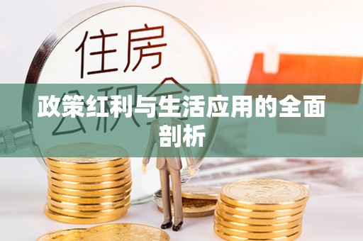 滨湖政策红利与生活应用的全面剖析
