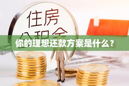 滨湖你的理想还款方案是什么？