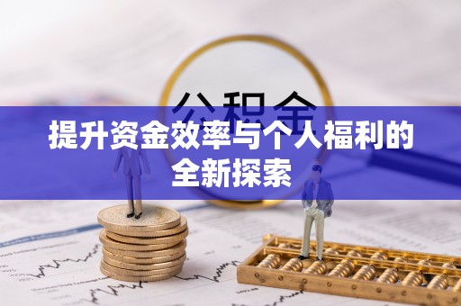 滨湖提升资金效率与个人福利的全新探索