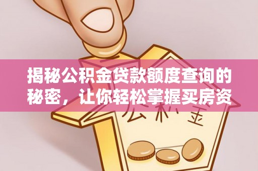 滨湖揭秘公积金贷款额度查询的秘密，让你轻松掌握买房资金规划