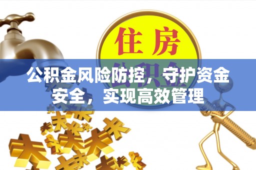 滨湖公积金风险防控，守护资金安全，实现高效管理