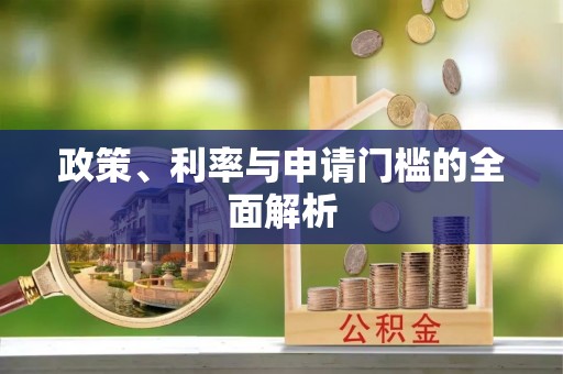 滨湖政策、利率与申请门槛的全面解析