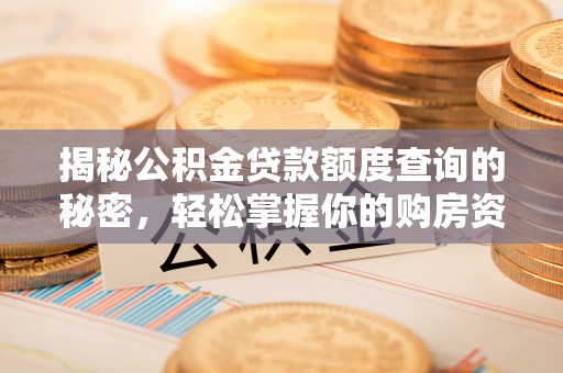 滨湖揭秘公积金贷款额度查询的秘密，轻松掌握你的购房资金