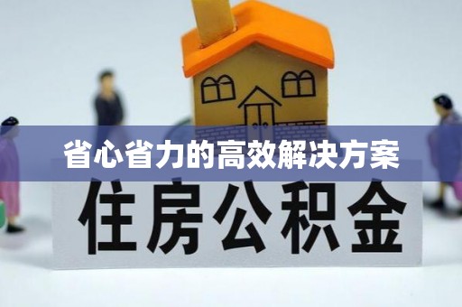 滨湖省心省力的高效解决方案