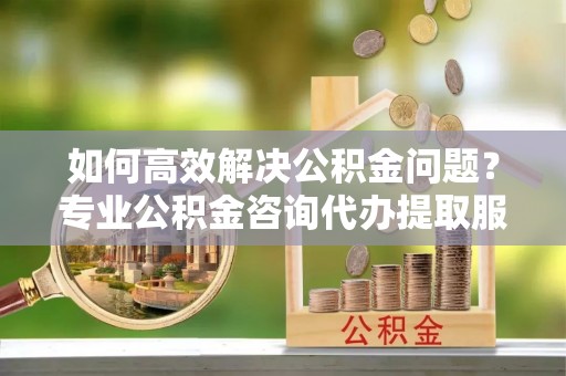 滨湖如何高效解决公积金问题？专业公积金咨询代办提取服务来帮你