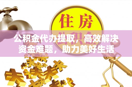 滨湖公积金代办提取，高效解决资金难题，助力美好生活