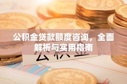 滨湖公积金贷款额度咨询，全面解析与实用指南