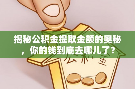 滨湖揭秘公积金提取金额的奥秘，你的钱到底去哪儿了？
