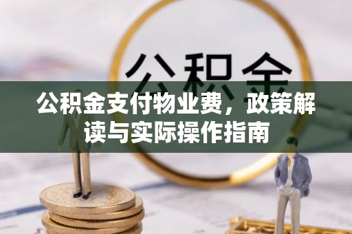 滨湖公积金支付物业费，政策解读与实际操作指南