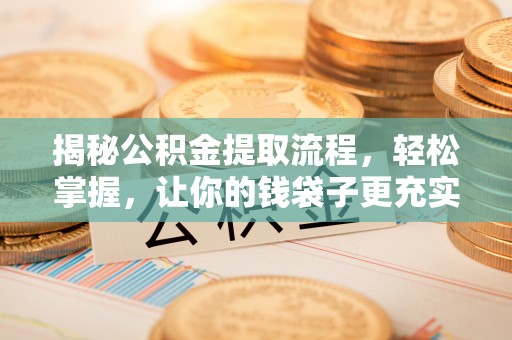 滨湖揭秘公积金提取流程，轻松掌握，让你的钱袋子更充实