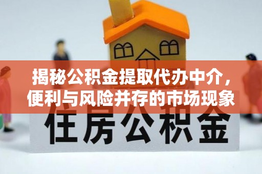 滨湖揭秘公积金提取代办中介，便利与风险并存的市场现象