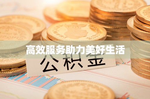 滨湖高效服务助力美好生活