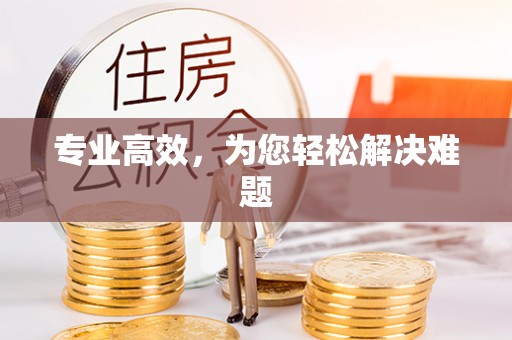 滨湖专业高效，为您轻松解决难题